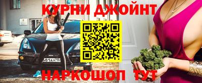 шишки Дубна
