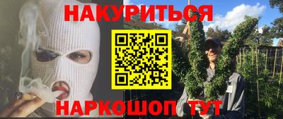 шишки Дубна