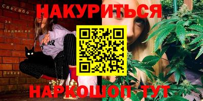 шишки Дубна