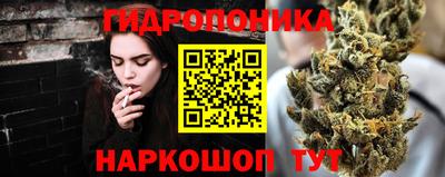 шишки Дубна