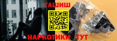 шишки Дубна