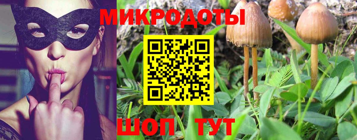 Галлюциногенные грибы GOLDEN TEACHER  Вход с VPN  Галлюциногенные грибы Psilocybine cubensis  Мурманск 