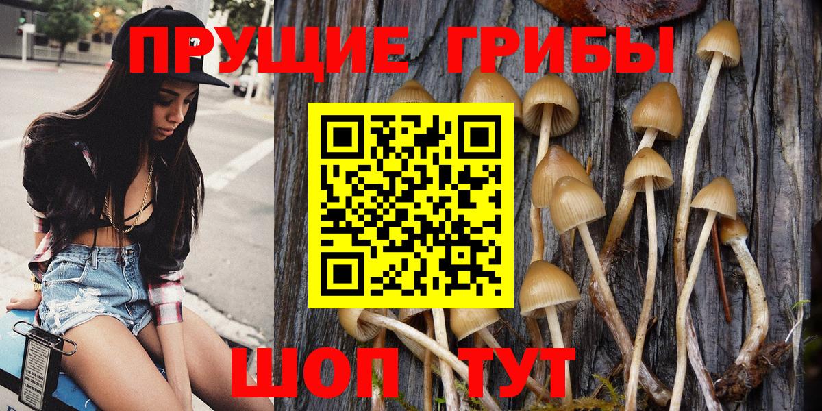 Галлюциногенные грибы ЛСД Мурманск
